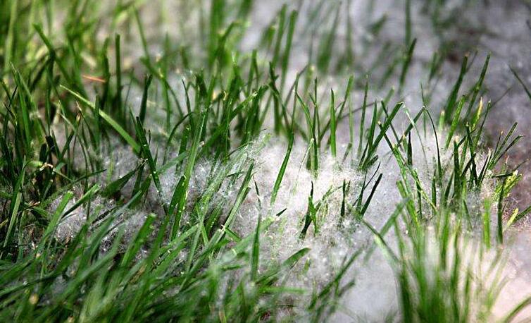 冬季將至，如何除去人造草皮中的冰雪？鉆石地為您支招